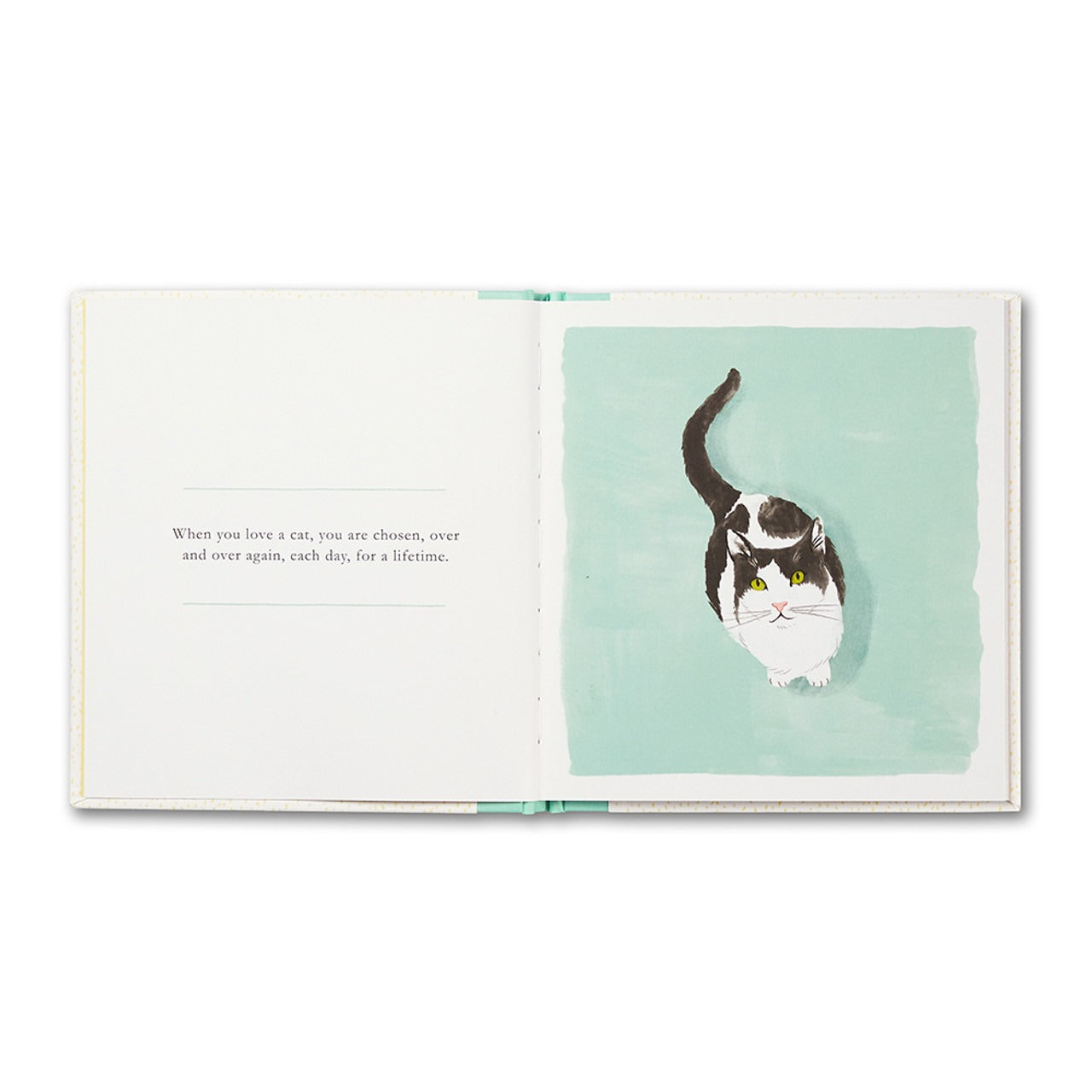 BK When You Love a Cat