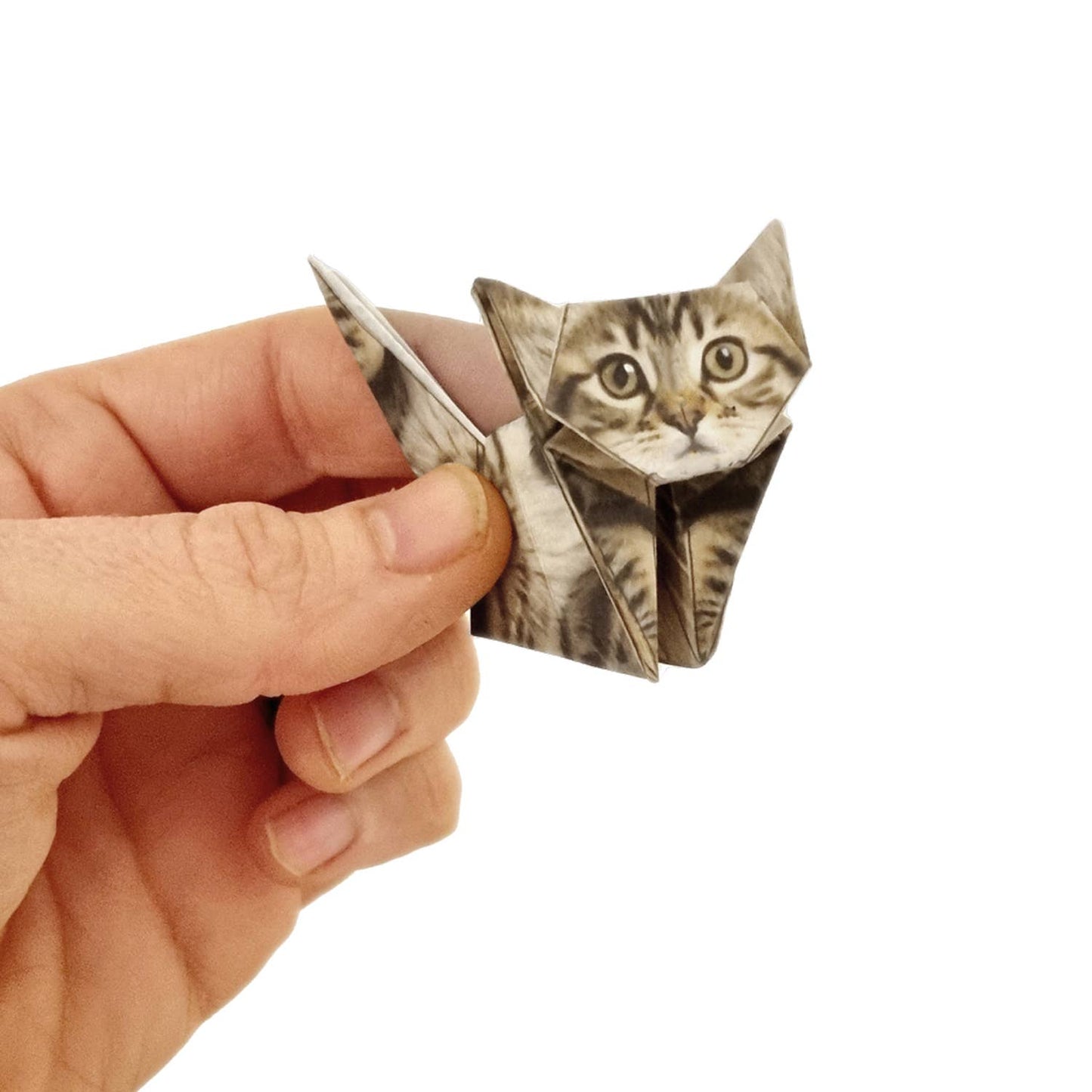 Paper Cats Origami Kit