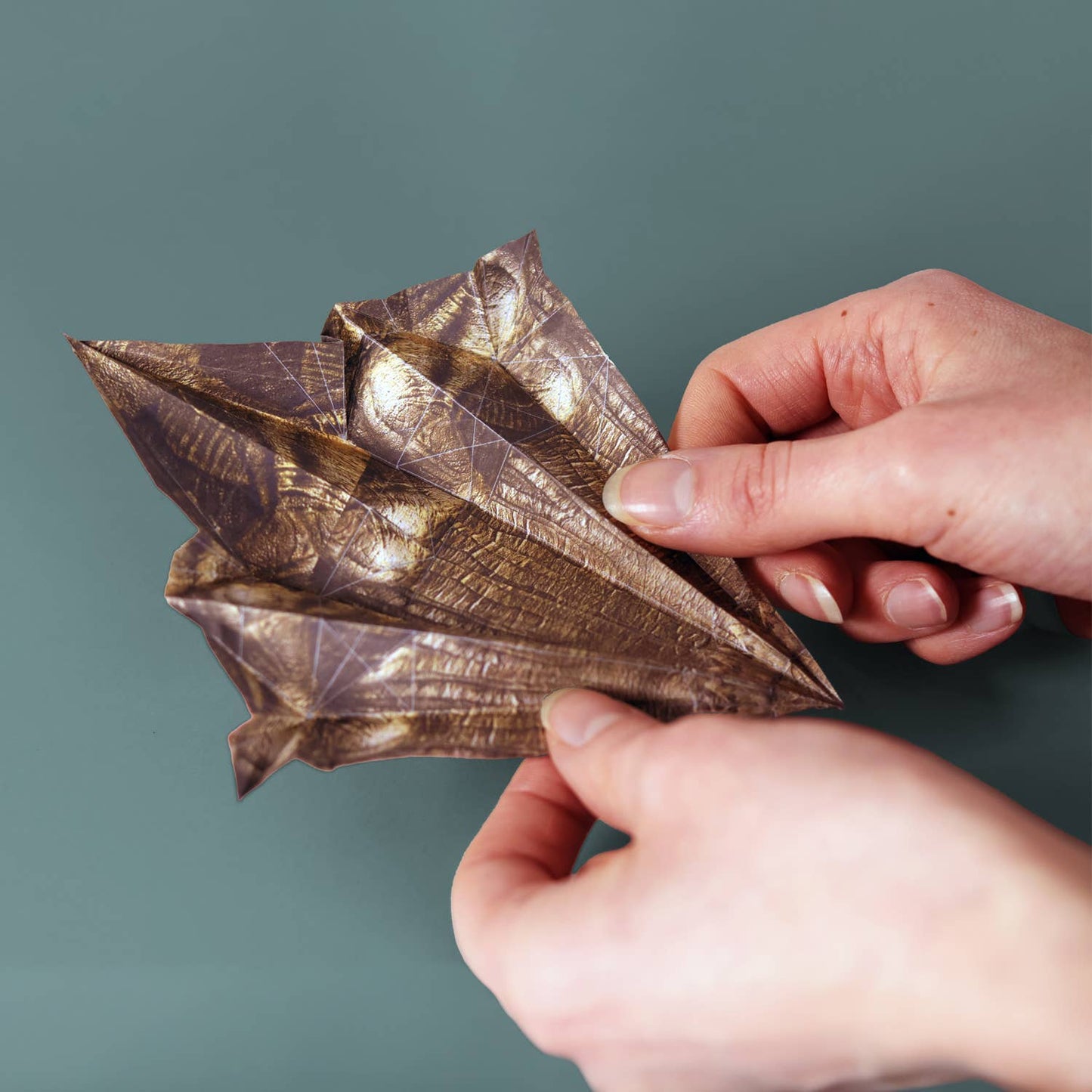 Paper Dinosaurs Origami Kit