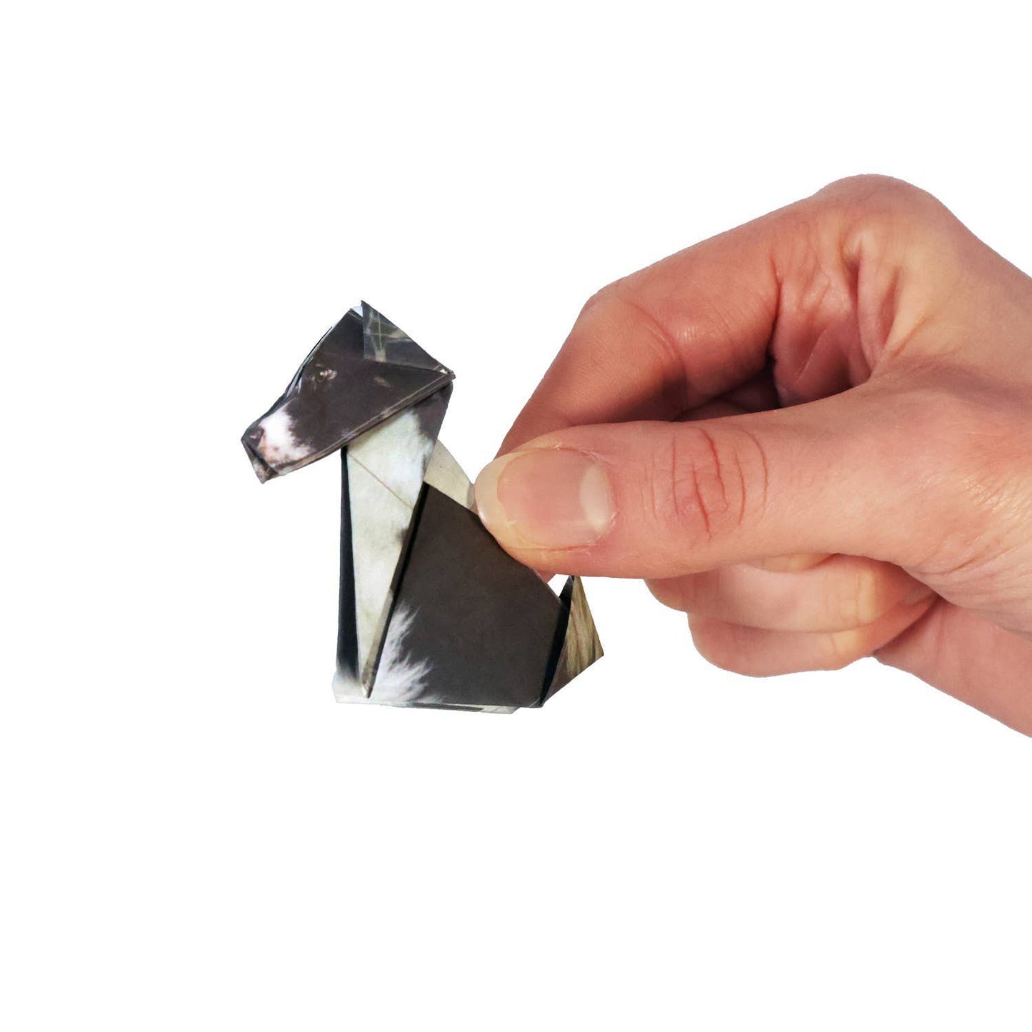 Paper Pups Origami Kit