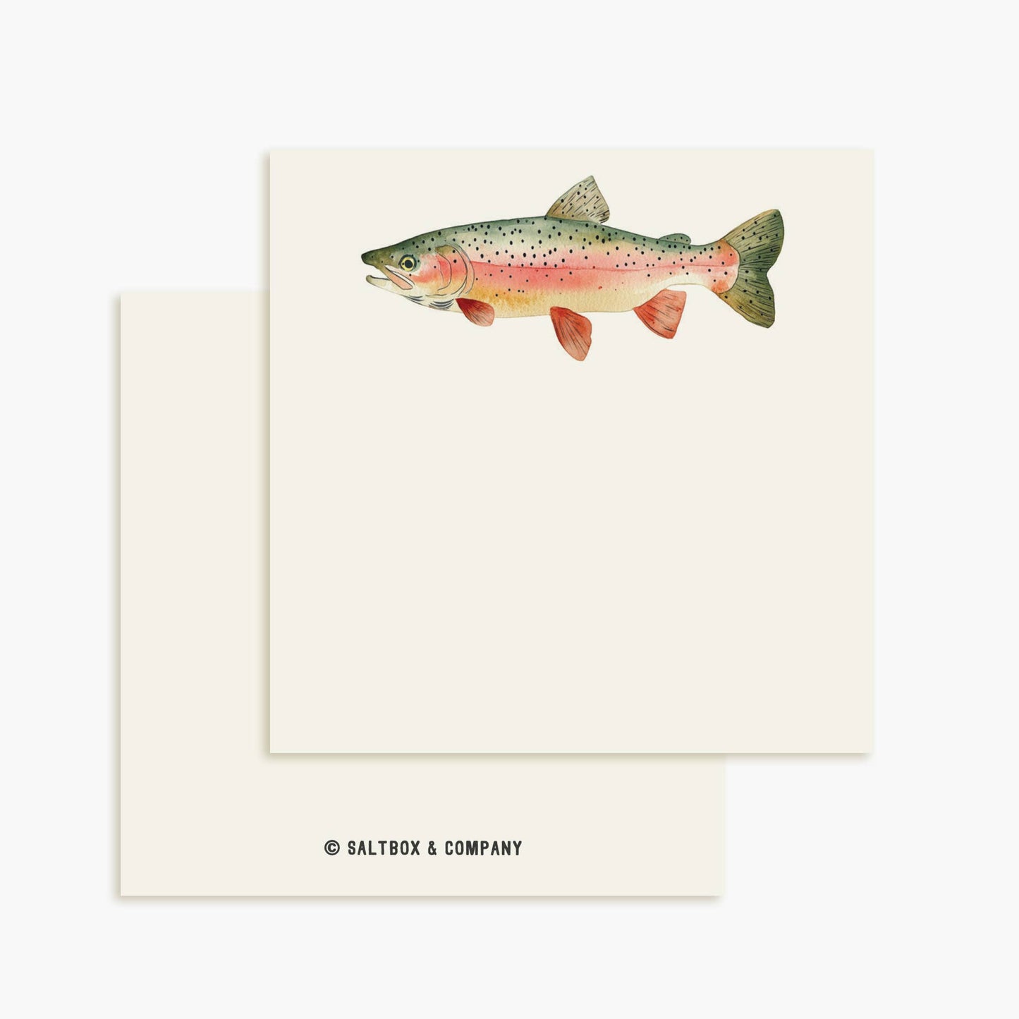 Rainbow Trout - Box of 50 Mini Notes