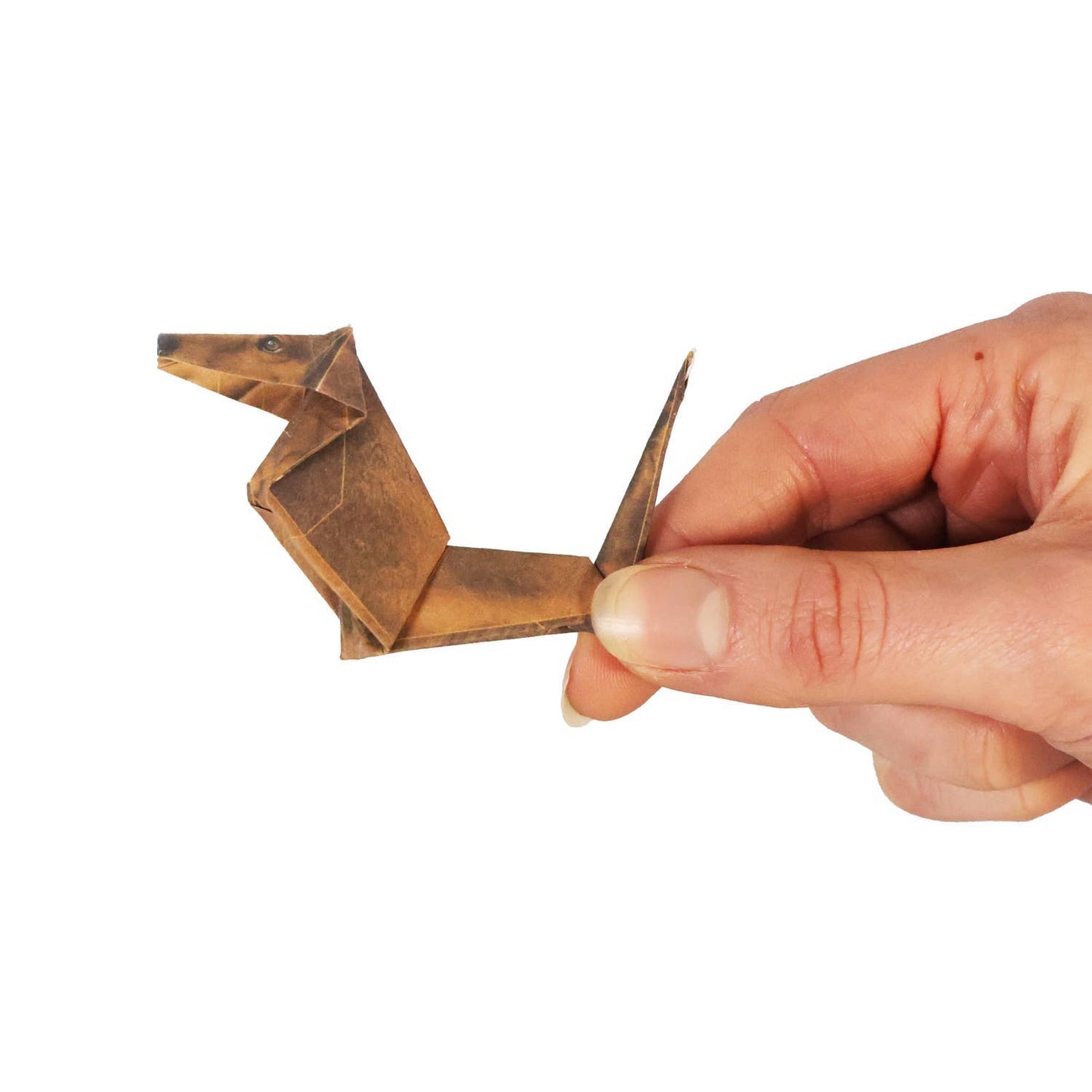 Paper Pups Origami Kit