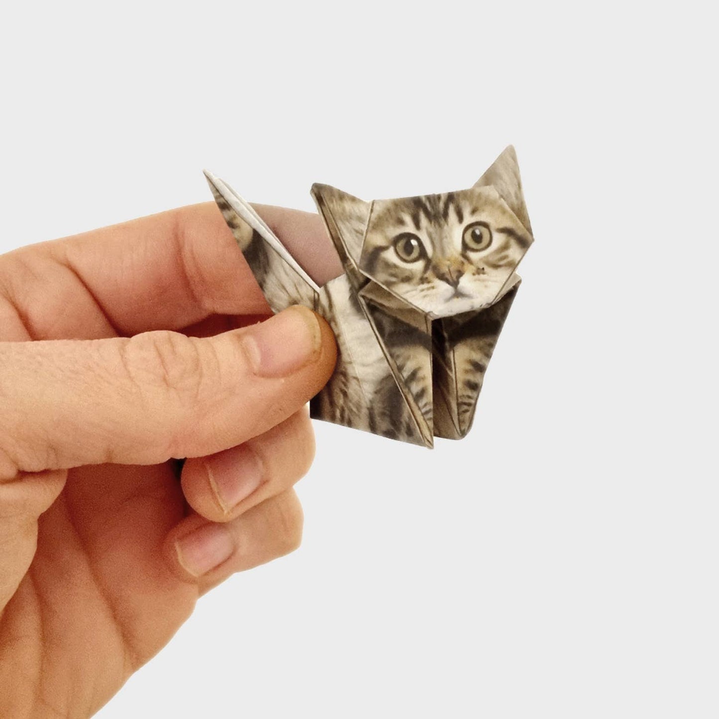 Paper Cats Origami Kit