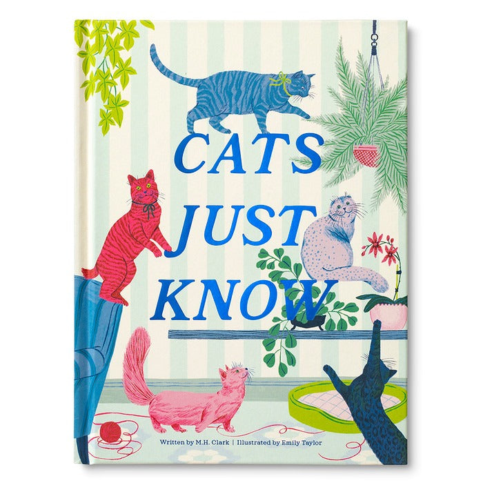 BK Cats Just Know Book