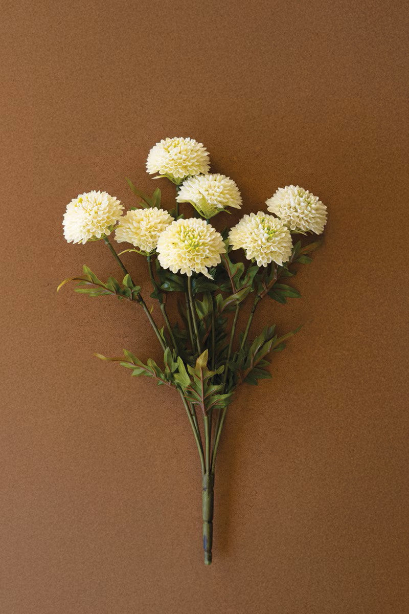 Dahlia Bundle of 7