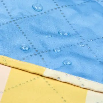 Picnic Blanket 2026
