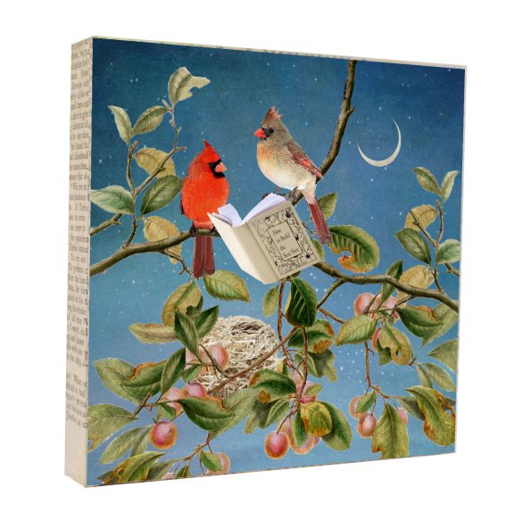 MKC 5x5 Art Blocks - Animal