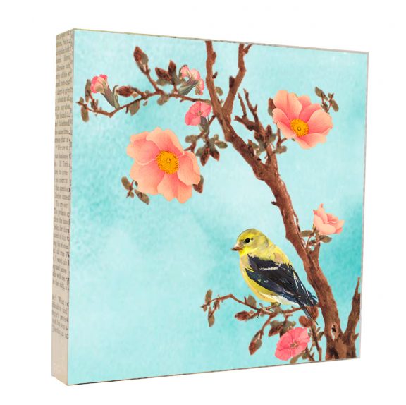 MKC 5x5 Art Blocks - Animal