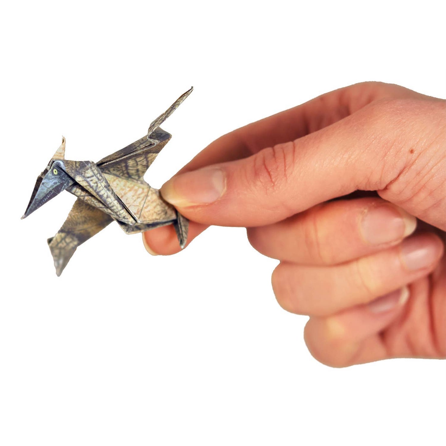 Paper Dinosaurs Origami Kit