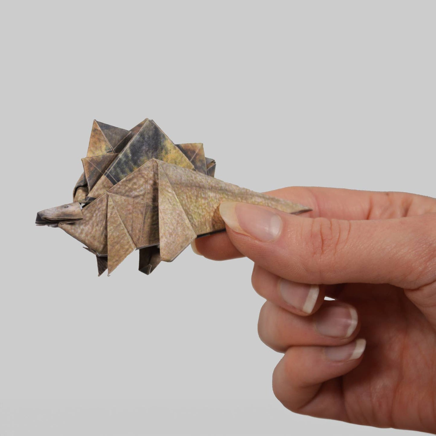 Paper Dinosaurs Origami Kit