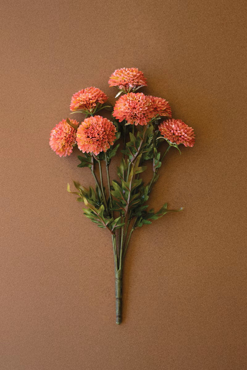 Dahlia Bundle of 7