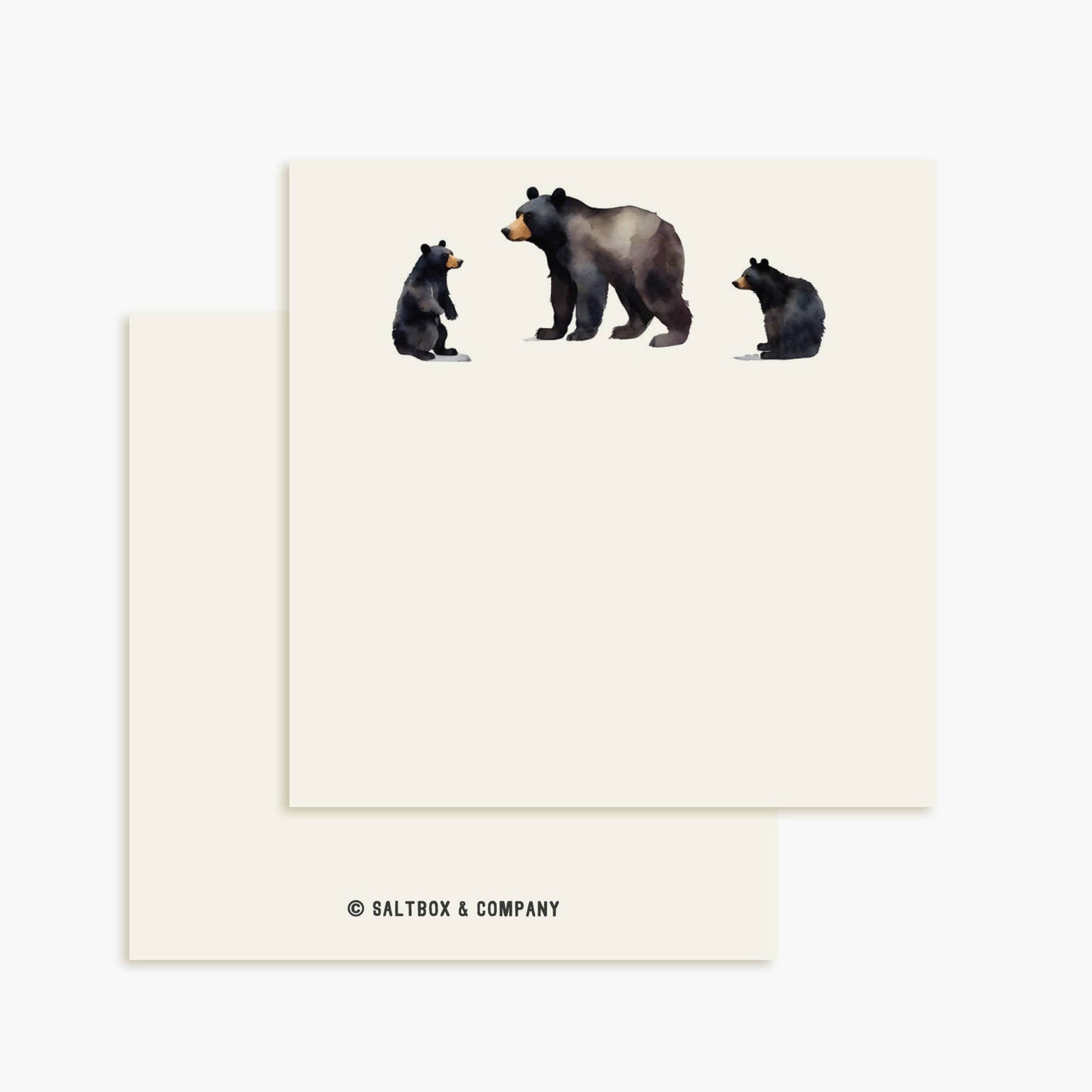 Mama Bear - Box of 50 Mini Notes