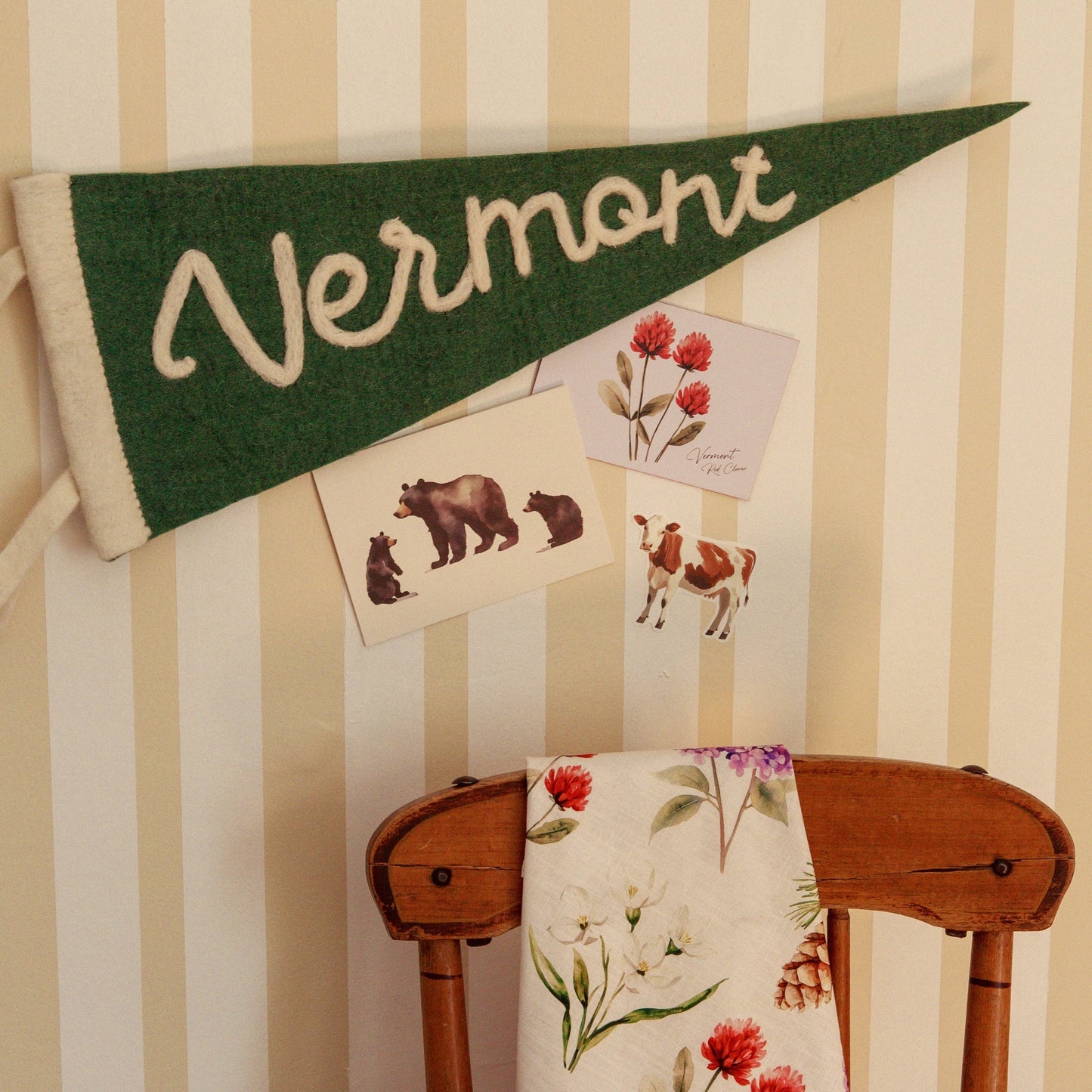Mama Bear - Box of 6 Note Cards